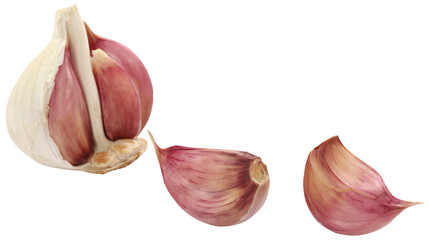 Garlic over white background