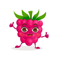 Berry cartoon character - Raspberry. Berries with face, arms and legs. Vector graphic.