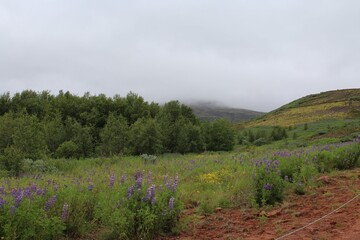 spring in the mountains