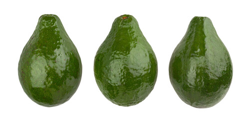 avocado path isolated on white