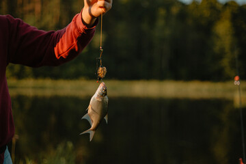 hand holding a fishing lure