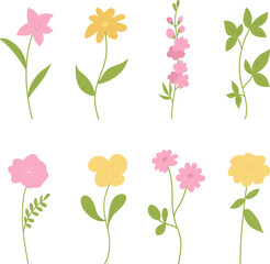 set of flowers, colorful flower collection, leaves, botanical elements, vector illustration