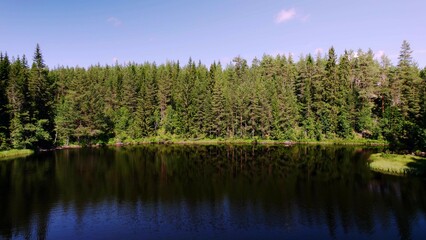 Evergreen forest lake in the Swedish wilderness. Shadows of the pine trees reflect in the water. Blue sky. View of the idyllic untouched nature in Ambjörby, Värmland, Sweden