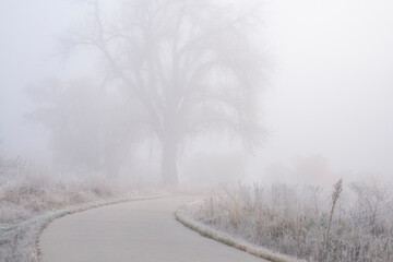 northern Colorado bike trail in fog - November morning on the Poudre River Trail near WIndsor