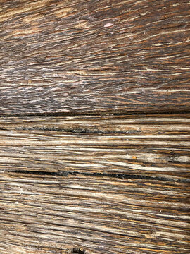 Brown Wood Nature Texture with Light Glare