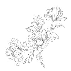 Floral Line Art. Magnolia Flower Outline for Floral Coloring Pages, Minimalist Modern Wedding invitations