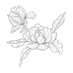 Floral Line Art. Magnolia Flower Outline for Floral Coloring Pages, Minimalist Modern Wedding invitations