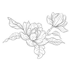 Floral Line Art. Magnolia Flower Outline for Floral Coloring Pages, Minimalist Modern Wedding invitations