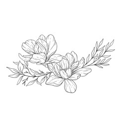 Floral Line Art. Magnolia Flower Outline for Floral Coloring Pages, Minimalist Modern Wedding invitations