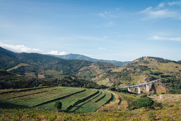 Paysage de Collioure. Un pont dans les Pyrénées orientales. Culture en terrasse et voie routière. La culture en terrasse et un pont autoroutière moderne. Pyrénées, culture en terrasse et pont routier.