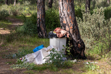 Garbage in the forest. Nature care concept.