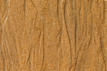 Sea shore as a background.