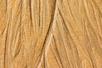 Sea shore as a background.