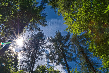 Fototapety na wymiar - Fototapeta24.pl