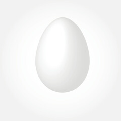 White chicken egg on a gray background. vector image