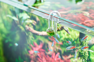 Glass hang-on CO2 aquarium drop checker for monitoring optimal carbon dioxide amount in planted...