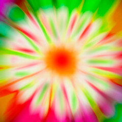 Obraz premium Watercolor drawing of a colorful flower, multicolored background, digitally generated illustration