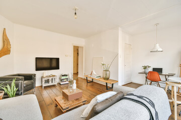Modern living room with sofa and TV