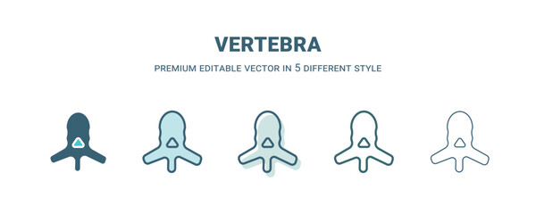 vertebra icon in 5 different style. Outline, filled, two color, thin vertebra icon isolated on white background. Editable vector can be used web and mobile