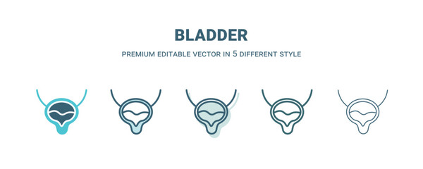bladder icon in 5 different style. Outline, filled, two color, thin bladder icon isolated on white background. Editable vector can be used web and mobile