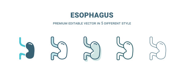 esophagus icon in 5 different style. Outline, filled, two color, thin esophagus icon isolated on white background. Editable vector can be used web and mobile