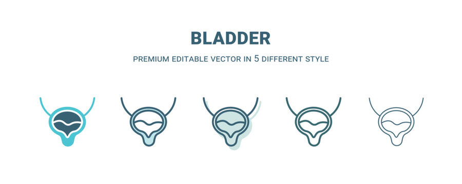 Bladder Icon In 5 Different Style. Outline, Filled, Two Color, Thin Bladder Icon Isolated On White Background. Editable Vector Can Be Used Web And Mobile