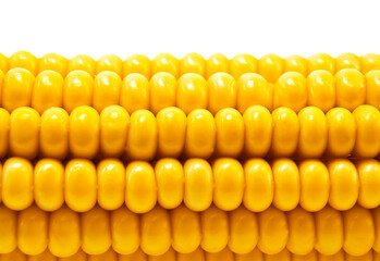 Ripe yellow corn cob on white background