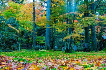 壮大な秋の風景