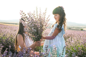 A sweet little girl gives a bouquet of flowers to her mother among lavender flowers in the sunset.