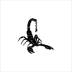 vector illustration of a black scorpion