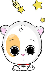 cute cat with the stars