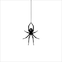 vector illustration of a spider hanging with a web