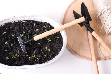 Fototapeta na wymiar Planting flowers in spring and gardening tools. Spring concept