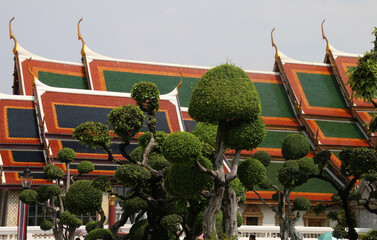 Árboles recortados redondos y de fondo los tejados coloridos a niveles del Gran Palacio Real de...