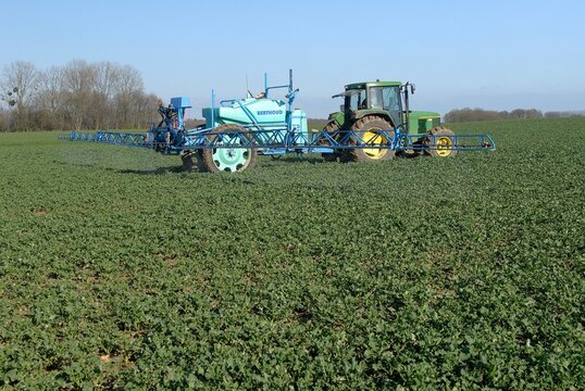 Traitement phyto insecticide contre le charan&ccedil;on sur champ de colza