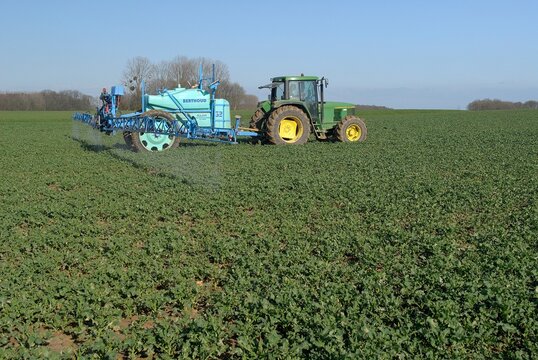 Traitement phyto insecticide contre le charancon sur champ de colza