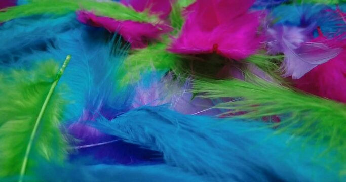 Colorful feather composition in graceful movement. Soft feathered surface, 4k video, slow motion.