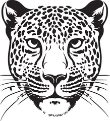 Leopard head Vector Illustration, leopard face, on a isolated background, SVG