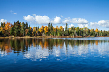 Blue trout lake with trees in autumn color in northern Minnesota on a sunny day © Daniel Thornberg