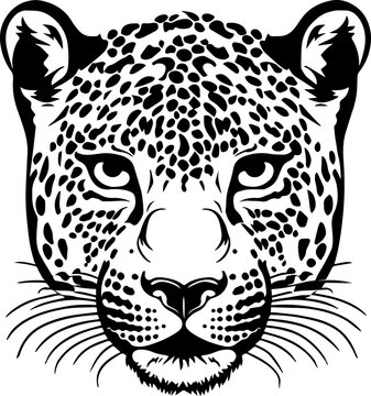 Leopard head Vector Illustration, leopard face, on a isolated background, SVG