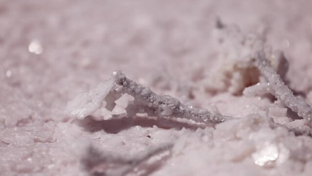 Pink salt crystals. Close up pink salt flakes natural mineral formation at pink salt flats lake Sivash, Lemurian lake. Lake colored by microalgae with crystalline salt depositions. Beauty and organic.