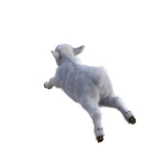 Goat baby character on transparent background. 3d rendering illustration for collage, clipart, composting, pose.