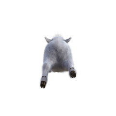 Goat baby character on transparent background. 3d rendering illustration for collage, clipart, composting, pose.