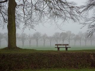 Bench in fog