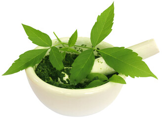 Vitex Negundo wtih mortar and pestle