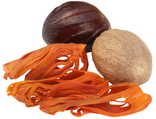 Mace or Javitri Spice with nutmeg
