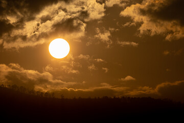 Winter sunset among the trees of the forest!