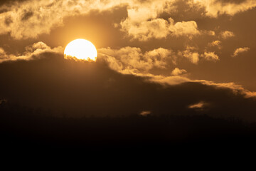 Winter sunset among the trees of the forest!