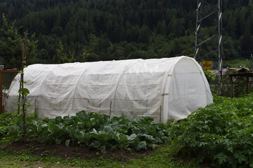 SERRA ORTO COLTIVAZIONE  © franzdell