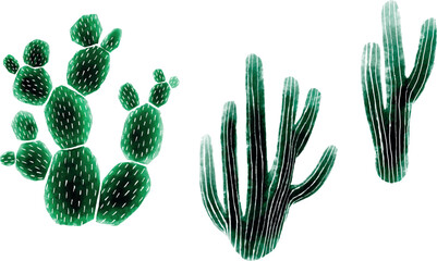 Watercolor cactus set isolated on white background. Vector design.